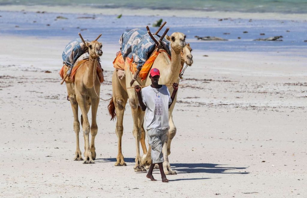 Beautiful Diani Beach