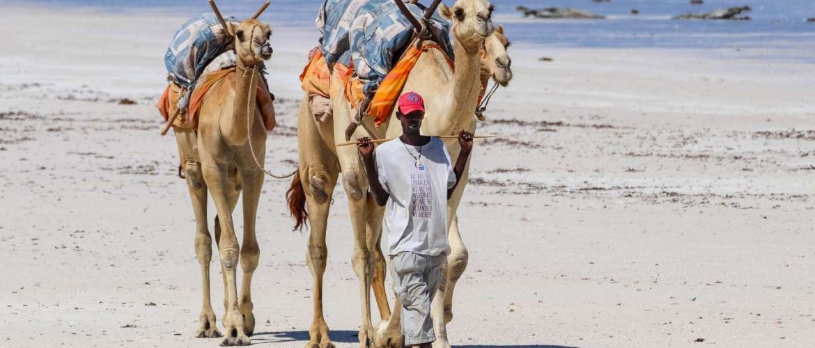 Beautiful Diani Beach